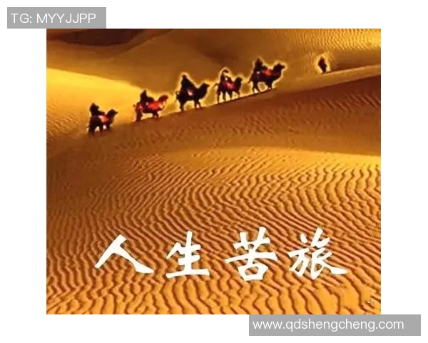 深度对话：周秀英如何在网球世界中追逐梦想与挑战人生